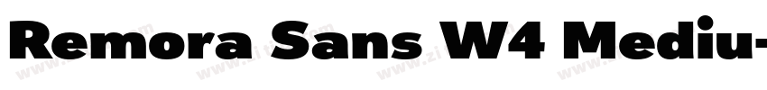 Remora Sans W4 Mediu字体转换